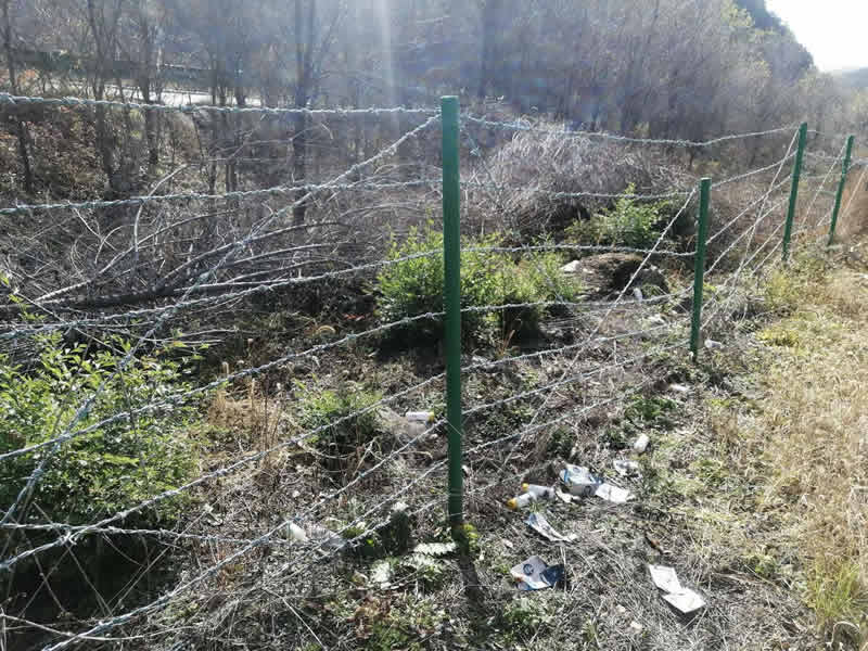 刺绳护栏网 刺绳护栏网