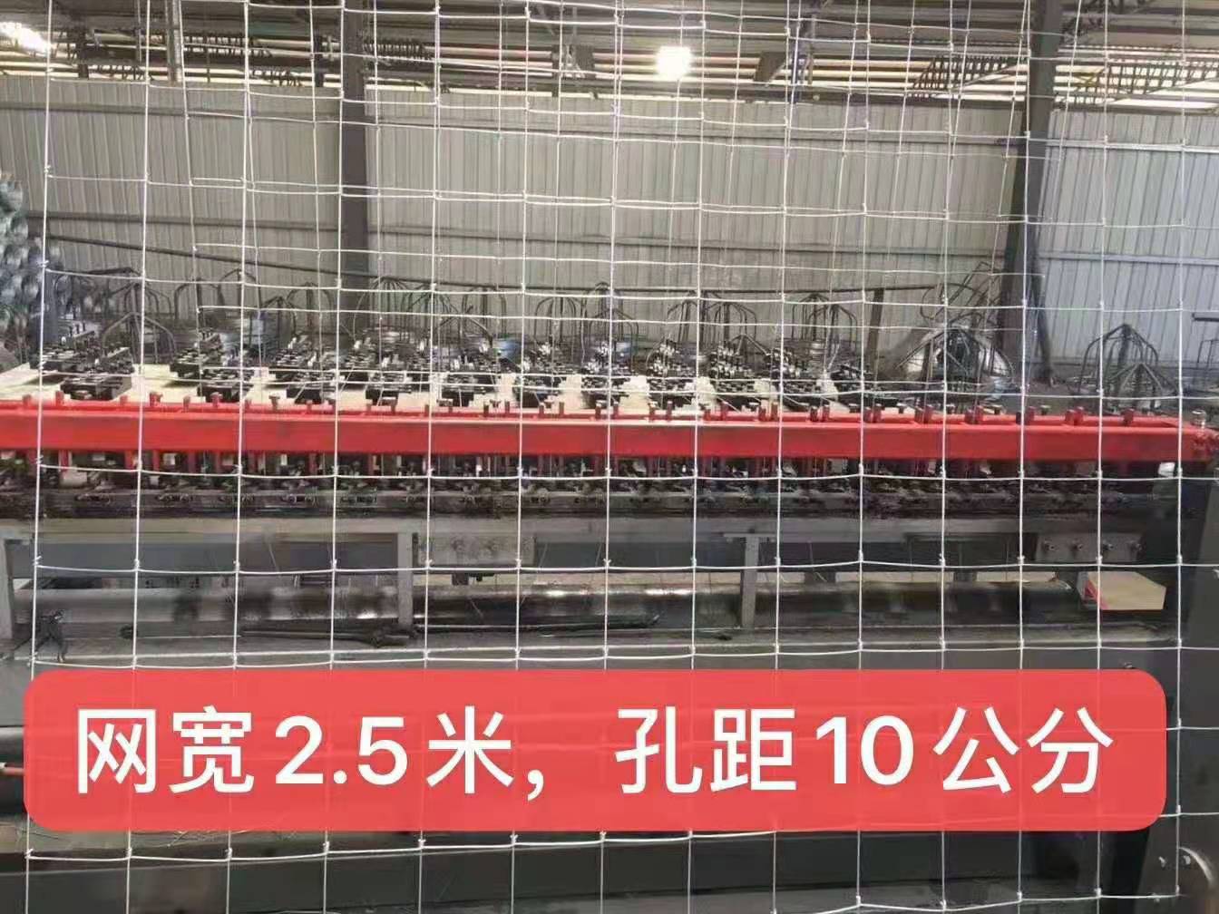 养殖隔离网(荷兰网)(牛栏网) 养殖隔离网(荷兰网)(牛栏网)